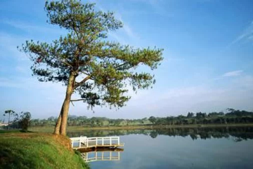La beauté poétique et romantique du lac de Xuan Huong à Dalat
