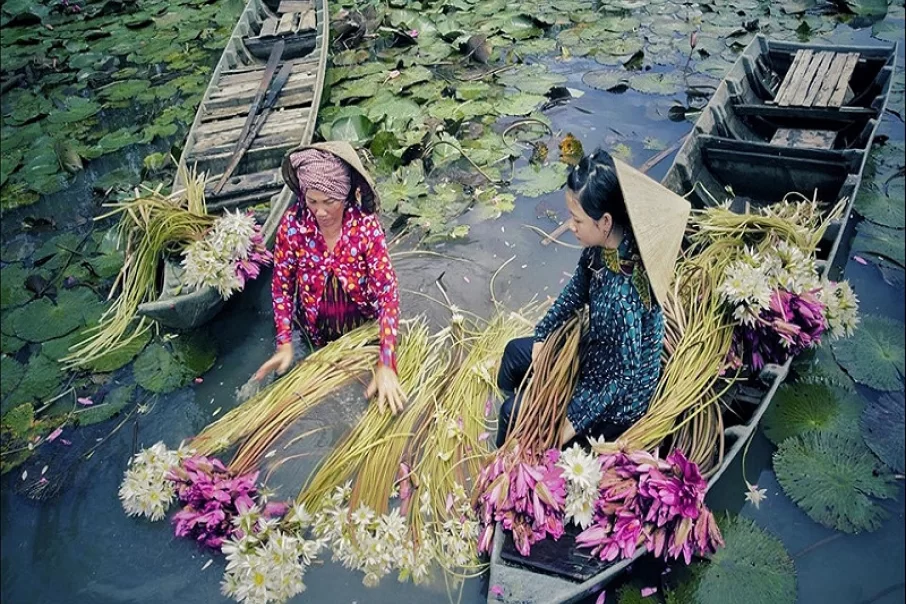 vietnam-le-paradis-des-fleurs-8