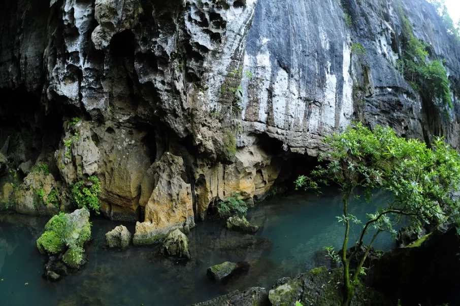 les-8-grottes-les-plus-attrayantes-que-les-visiteurs-peuvent-explorer-a-quang-binh-6