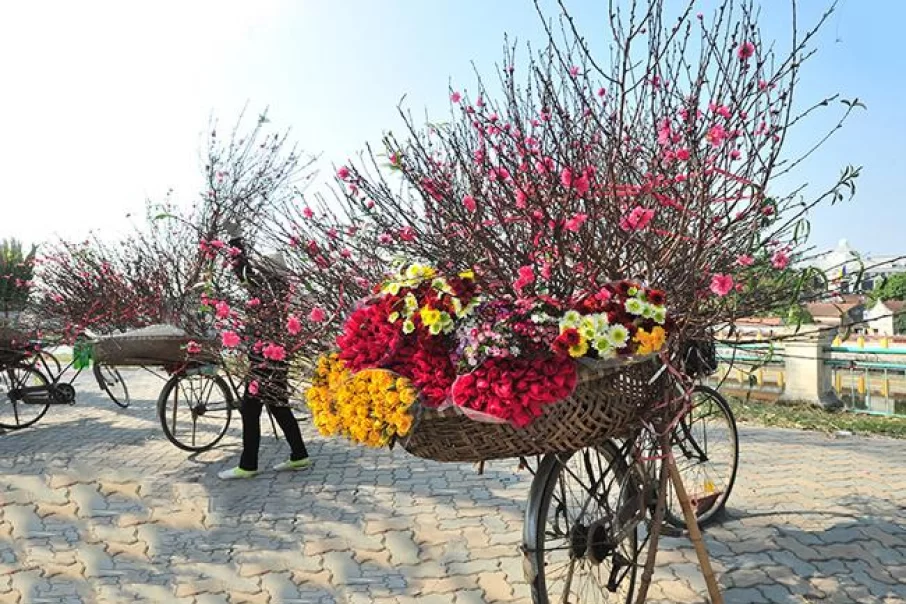les-fleurs-du-printemps-au-vietnam-3
